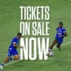 Harga & Cara Beli Tiket Persib vs Borneo FC di GBLA Sudah Bisa Dipesan, Ada Diskon Spesial