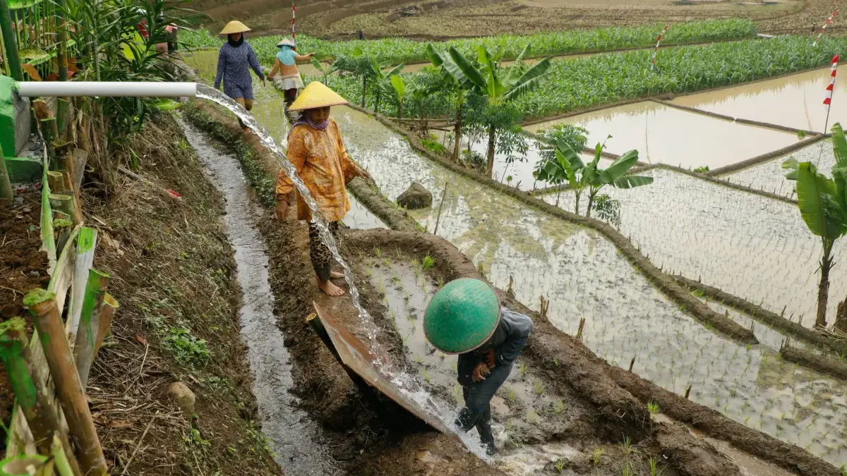 Lumbung Pangan Nasional, Jateng