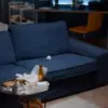 Ilmu Feng Shui