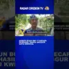Kebun Buah RW 17 Kecapi Berhasil Panen Anggur Satu Kwintal