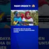 Budidaya Melon Golden Alisha Di Desa Dukupuntang Sukses