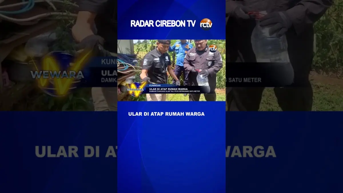 Ular Di Atap Rumah Warga