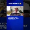 Upah Pungut Pajak Diberikan Jika Target Pajak Tercapai
