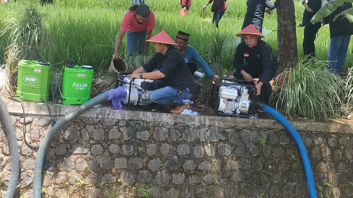 Bantuan Alsintan
