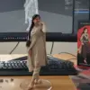 Gemini ai
