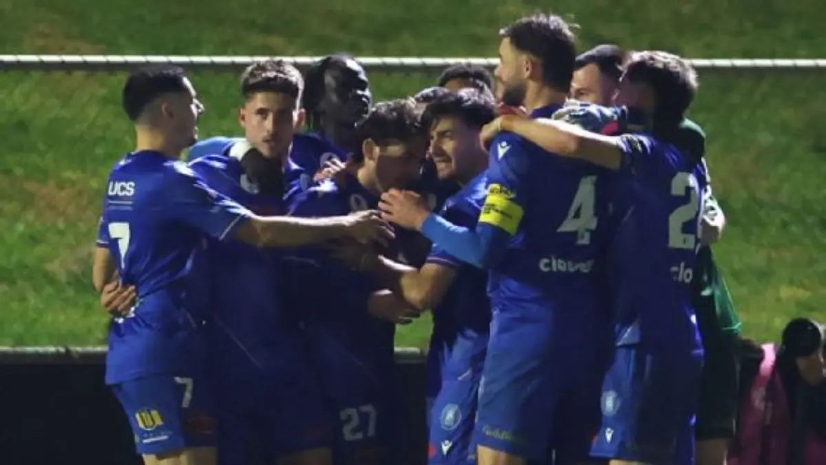 Australian Championship foundation club Avondale were crowned premiers of NPL Victoria