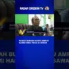 Rumah Burung Hantu Ampuh Basmi Hama Tikus Di Sawah