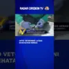 UPTD Veteriner Layani Kesehatan Hewan