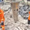 SAR