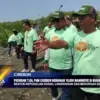 Program TJSL PNM Cirebon Menanam 10.000 Mangrove di Muara Mundu Pesisir