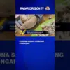 Pesona Saung Lumbung Kuningan