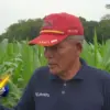 Program Tanam Jagung Pemdes Balaerante
