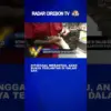 Ditinggal Merantau, Anak Buaya Terlantar Di Dalam Bak