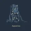 Simbol Aquarius