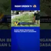 Rumah Benih Pekarangan Pangan Lestari Di Jagasatru