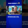 Pengawasan MBG Di SPPG Setu Kulon Dinilai Lemah