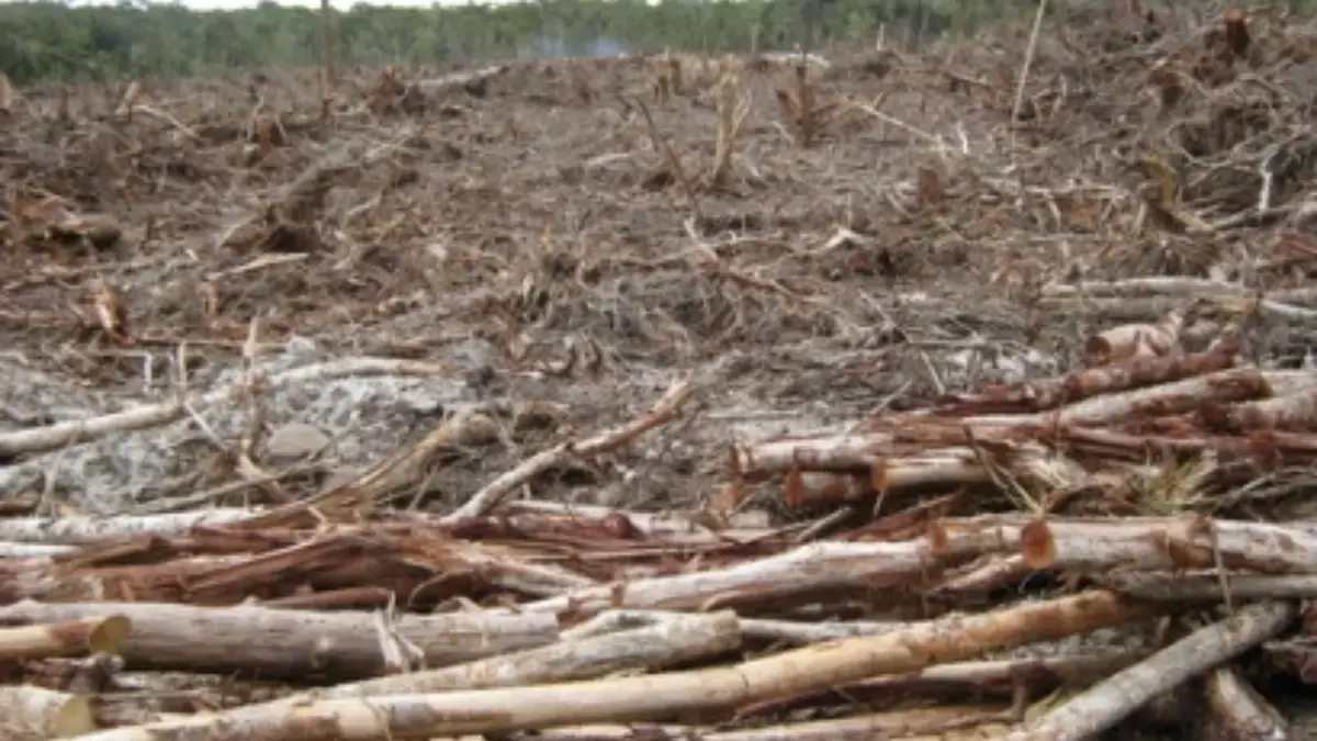 seruan warga menolak bantuan pt toba pulp lestari