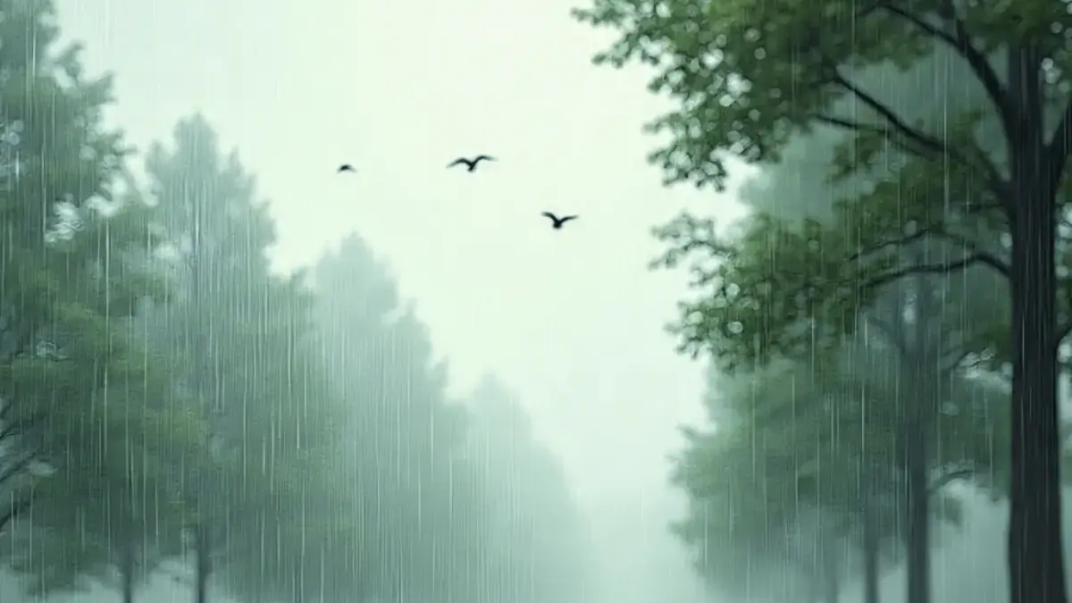 Cuaca Malam Pergantian Tahun di Cirebon: Hujan Ringan Siap Menyambut Akhir Tahun 2025 Cuaca 31 Desember 2025