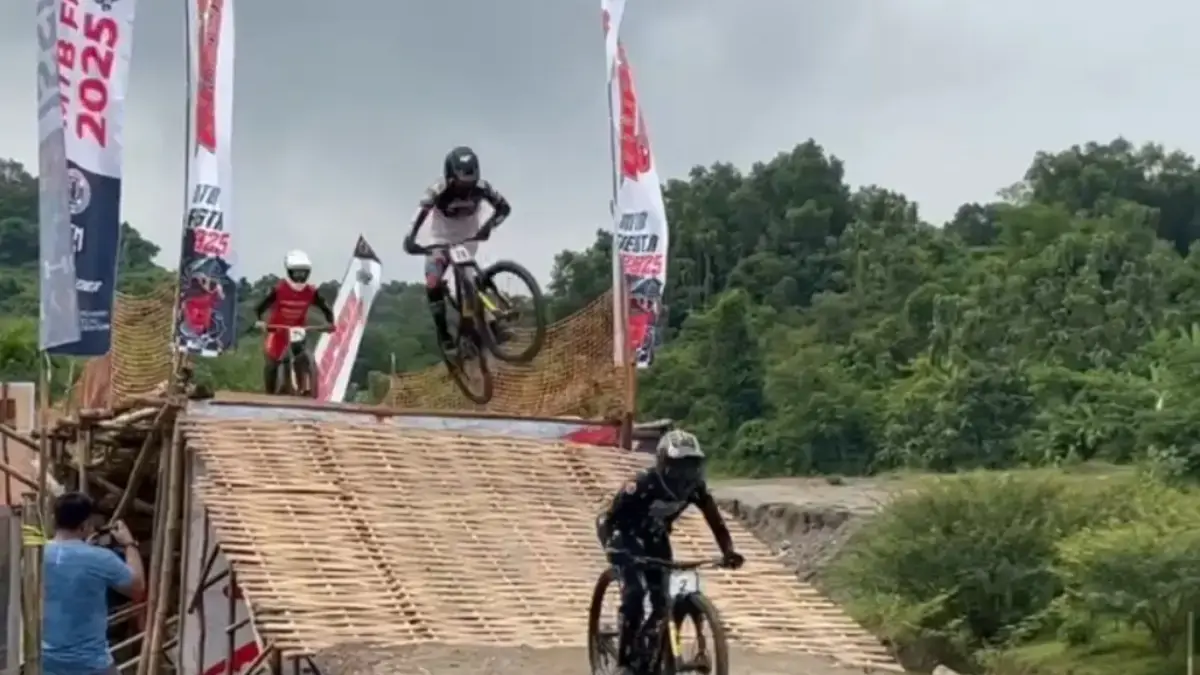 MTB Downhill