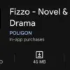 Fizzo Novel