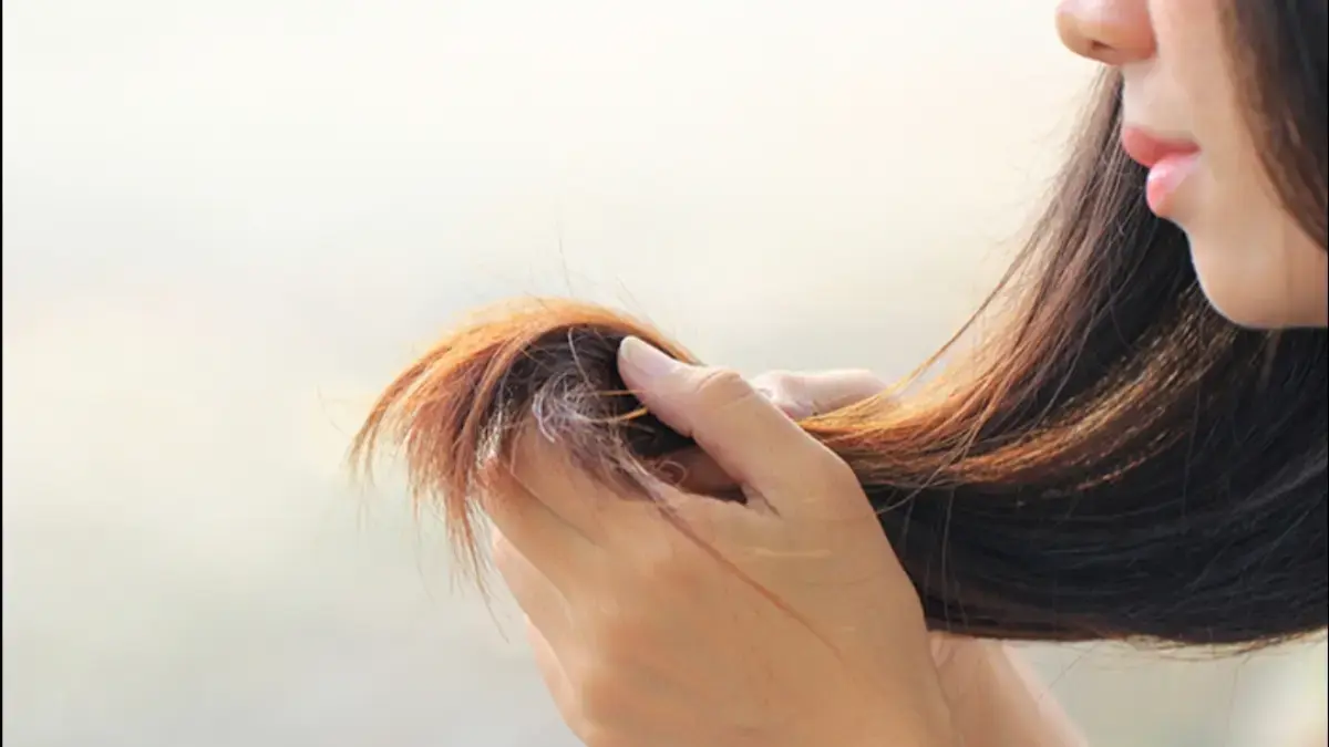 Rahasia Rambut Sehat Tanpa Salon: 7 Tanaman Alami Ampuh Hilangkan Ujung Bercabang & Pulihkan Keindahan Rambut Rambut