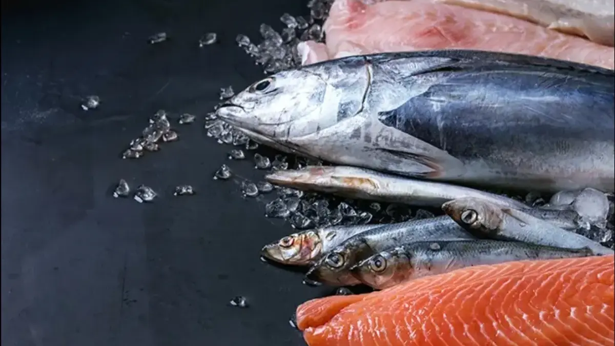 Ikan