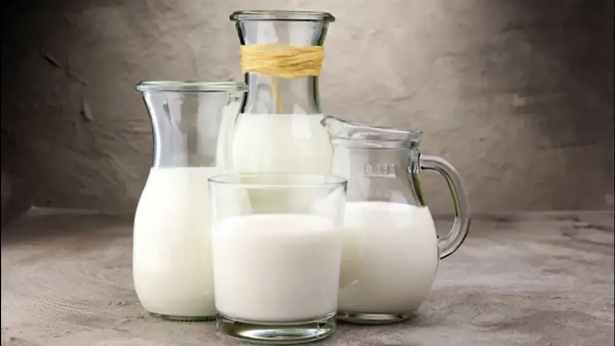 Menguak Fakta Mengejutkan di Balik Konsumsi Susu bagi Penderita GERD dan Asam Lambung Susu