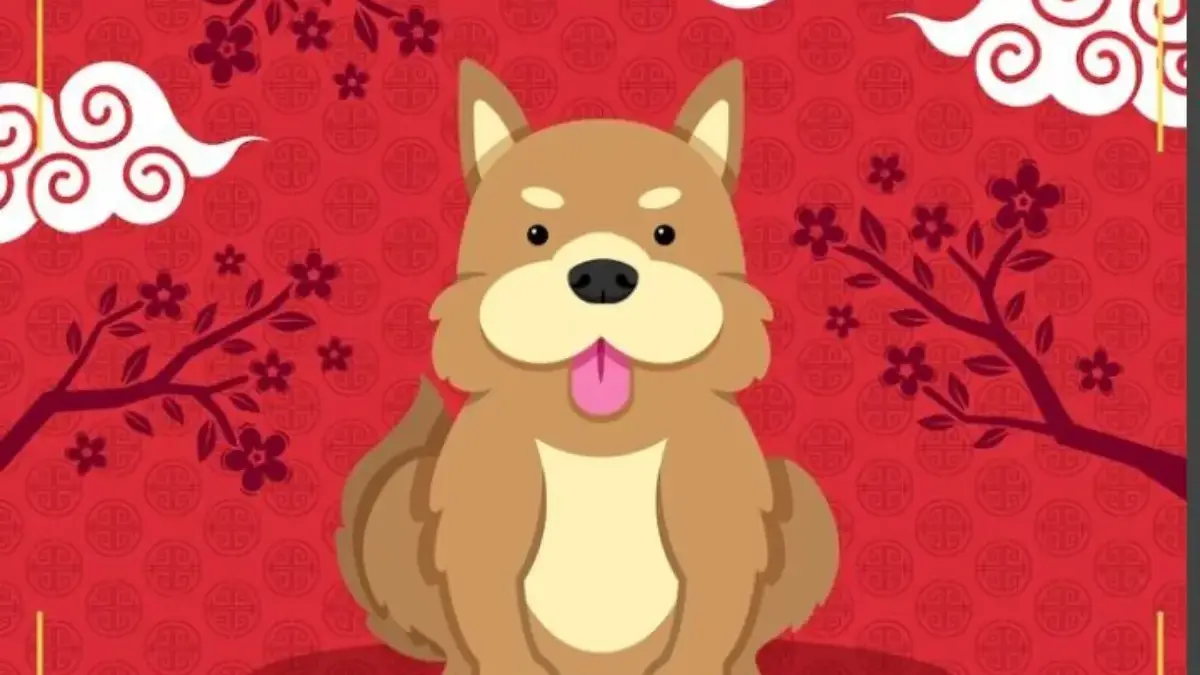 Shio Anjing di Tahun Kuda Api 2026, Karier Menanjak, Asmara Makin Hangat, Mental Perlu Dijaga Shio Anjing