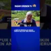 Lumpur Bergolak Bikin Panen Anjlok dan Merugi