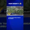 Akhir Tahun Harga Pangan Melambung