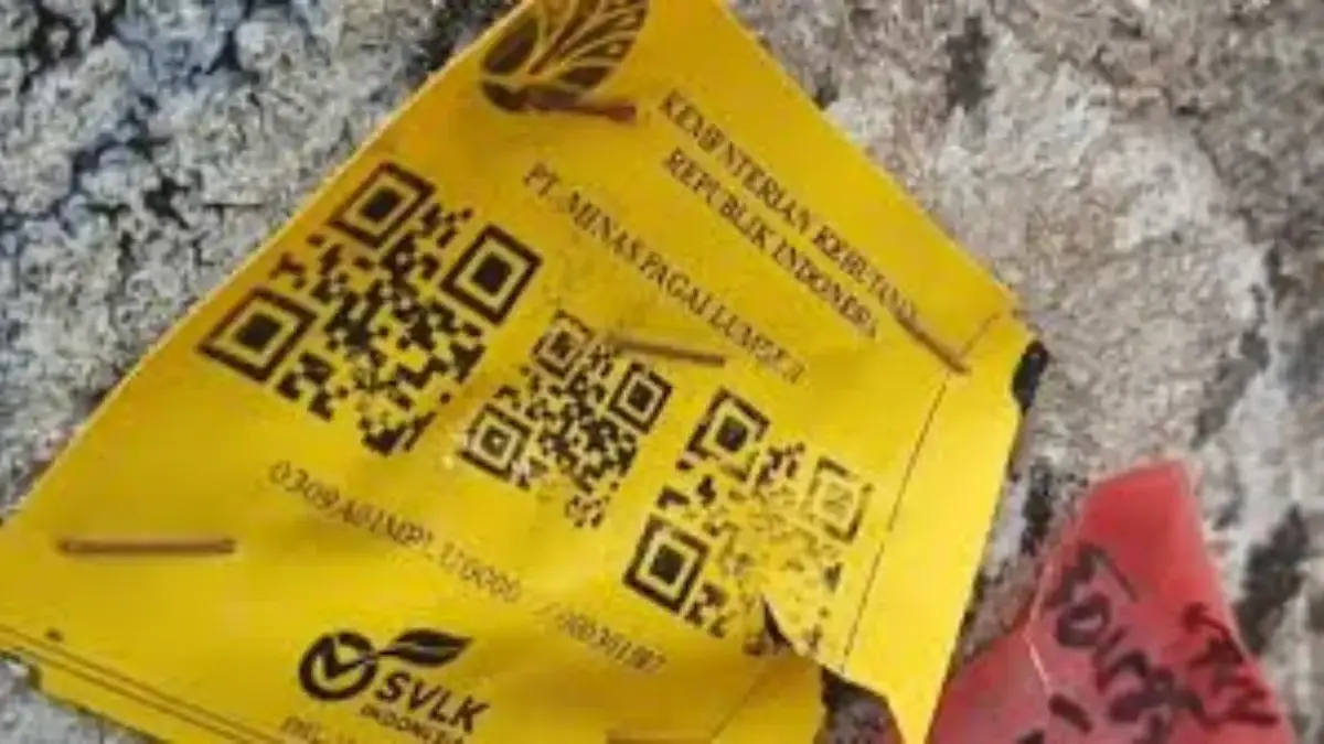 Viral! Kayu Gelondongan Pantai Lampung Bertulis Kementerian Kehutanan Indonesia serta PT Minas Pagi Lumber terkuak kayu gelondongan penuhi pantai lampung bertulis pt minas pagai lumber