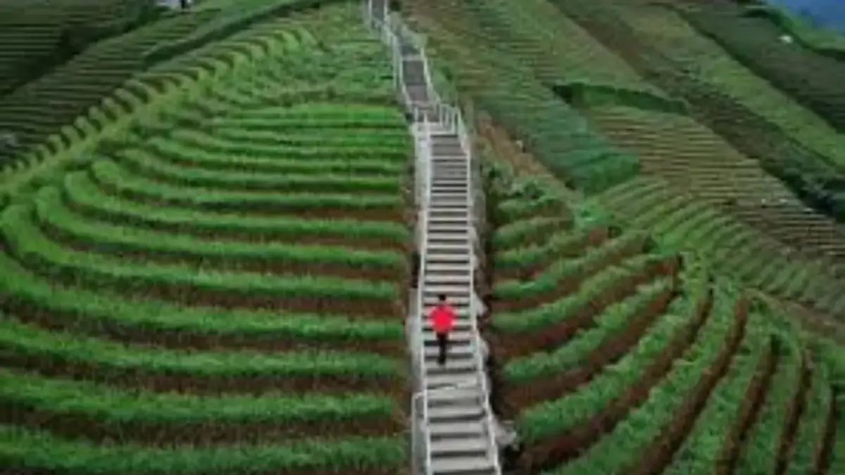 5 Destinasi Wisata Majalengka Yang Viral Ramai Diserbu Pengunjung