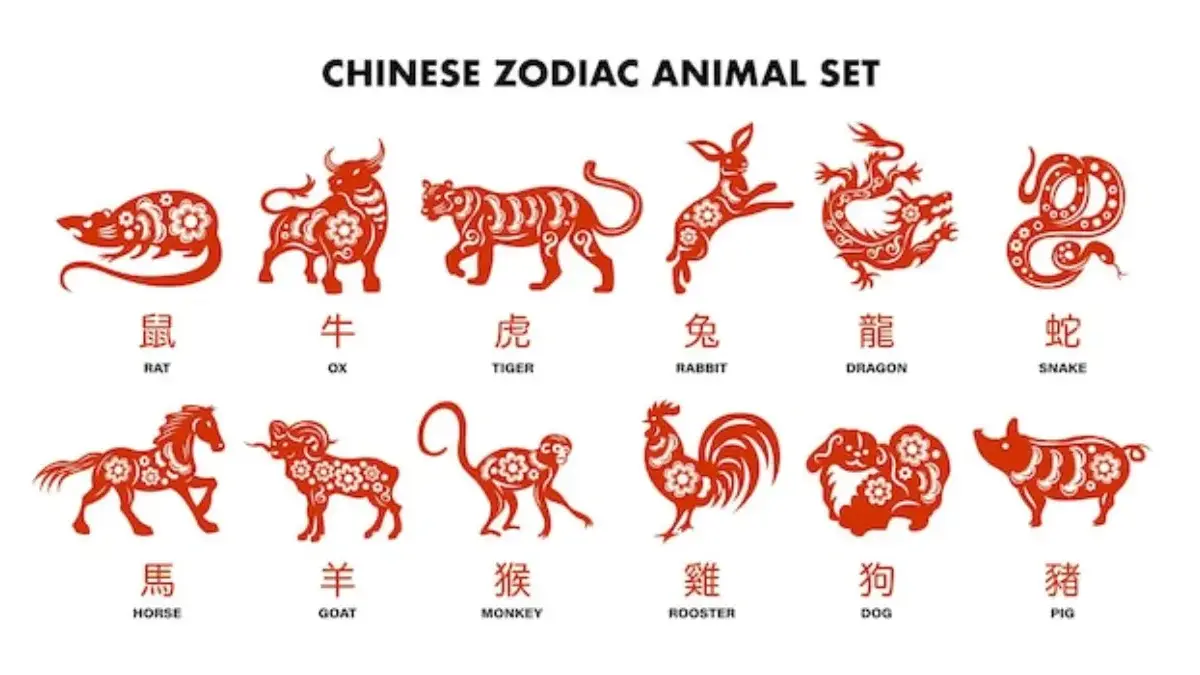 12 zodiak china