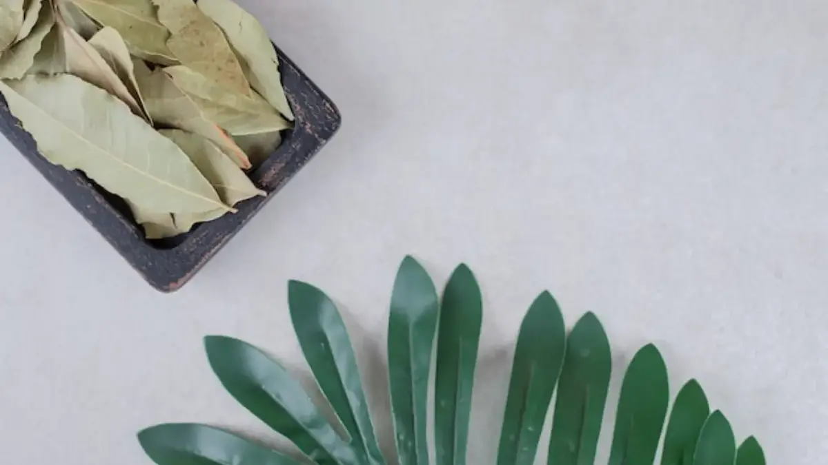 7 rebusan daun untuk gula darah