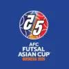 AFC Asian Cup 2027