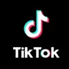 Lagu Viral TikTok