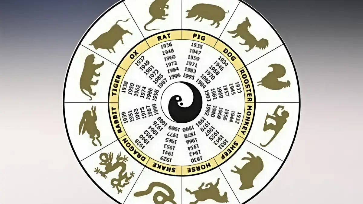 Besok Diprediksi Penuh Dinamika, Ini Ramalan Shio yang Berpotensi Hoki dan Perlu Lebih Waspada Shio