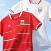 Sepakbola Indonesia
