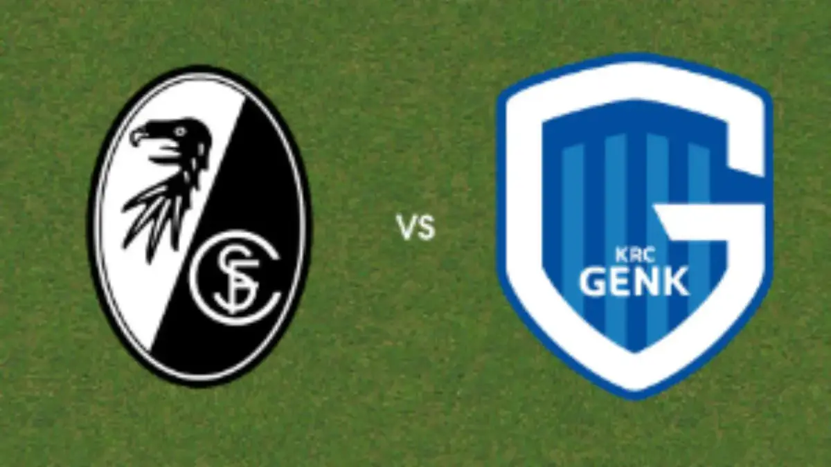 Prediksi Skor Timnas Ceko vs Timnas Irlandia Jumat, 27 Maret 2026 Timnas Ceko vs Timnas Irlandia