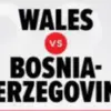 Wales vs Bosnia dan Herzegovina