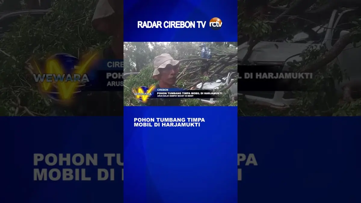 Pohon Tumbang Timpa Mobil di Harjamukti