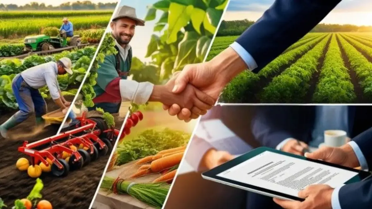 8 Inspirasi Bisnis Pensiunan Modal Kecil dengan Hasil Harian dan Minim Resiko