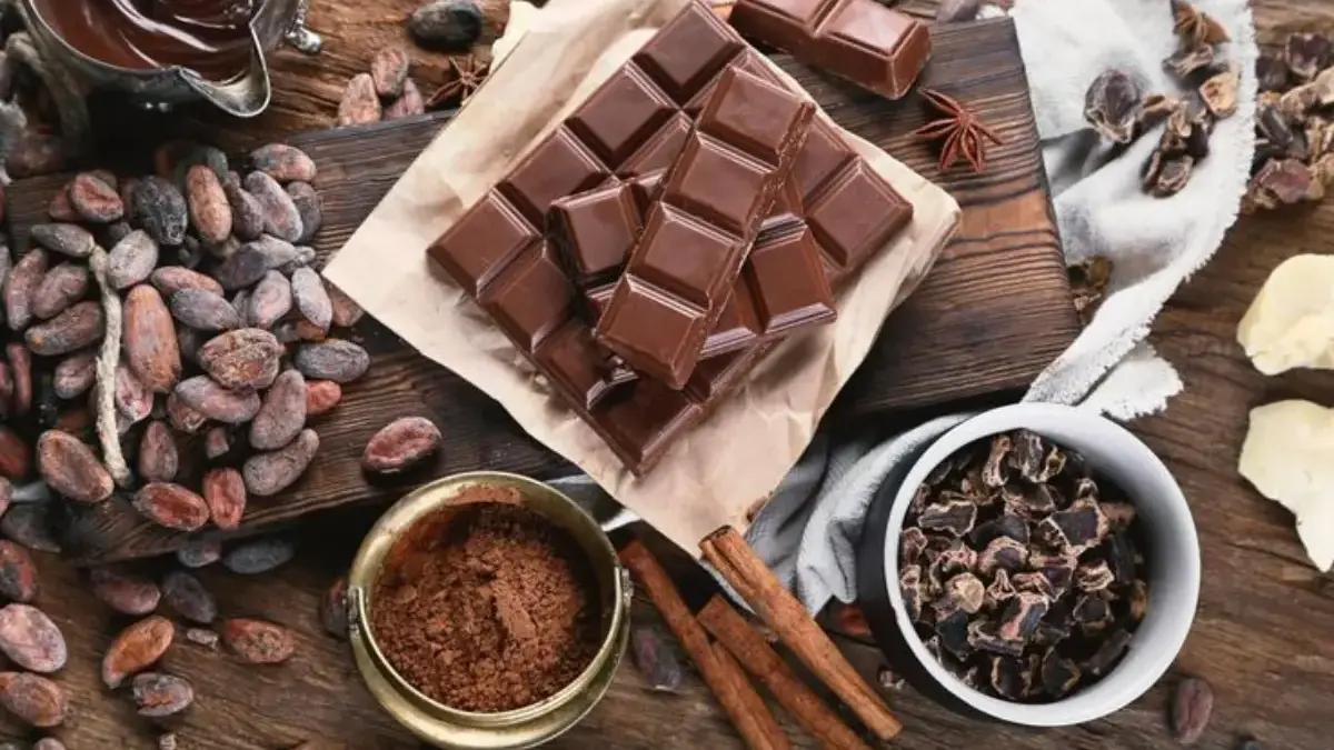 ilustrasi coklat kakao