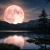 Pink Moon