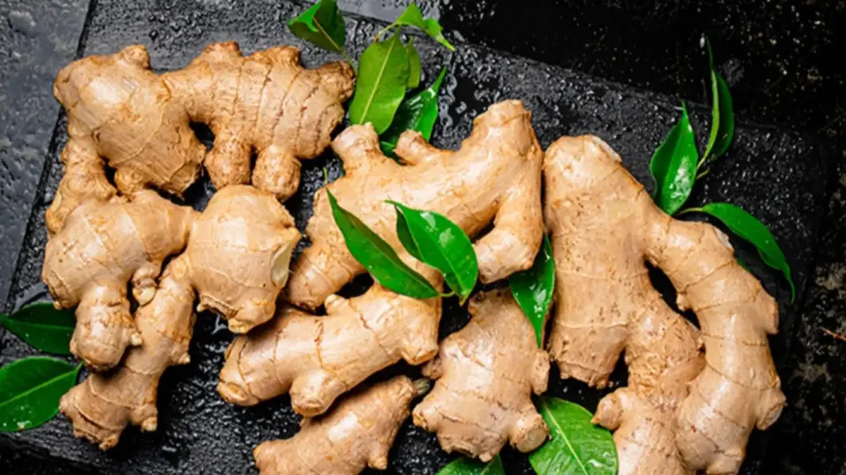 Sakit Kepala Tak Kunjung Hilang? Jangan Langsung Minum Obat, Ini Herbal Alami Ampuh Redakan Nyeri! Obat Herbal