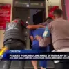 Pelaku Pencabulan Anak Ditangkap di Lampung
