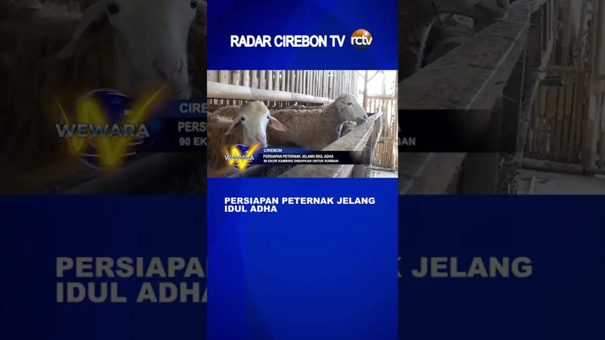 Persiapan Peternak Jelang Iduladha
