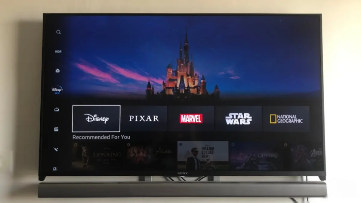 Disney+