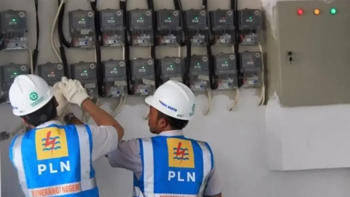 PLN