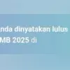 Ilustrasi dinyatakan lulus SNBT